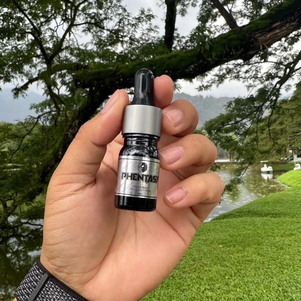 Wangian Phentasy Pheromones
