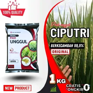 Benih Padi Unggul CIPUTRI Kemasan 1-5KG Berkecambah 99,9% Original Premium Product