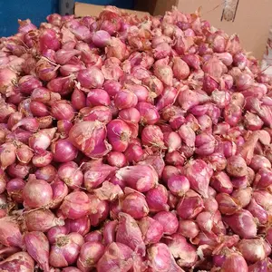 Bawang Merah Ukuran Campur