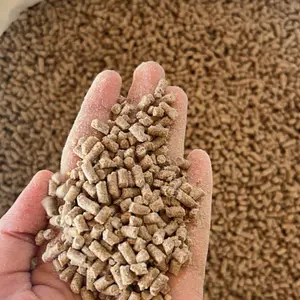 Pur Babi Pelet Ayam Kualitas Terbaik untuk Pertumbuhan Optimal - Pakan ternak