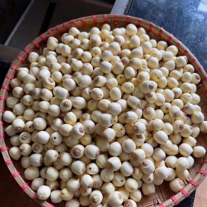 hạt sen Huế đây khô loại 1