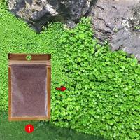 Gambar TaffHOME Bibit Rumput Air Dekorasi Aquarium Landscape Ornament 10g - H0027 - Big Fescue dari Taffware Official Store Kota Administrasi Jakarta Barat 3 Tokopedia