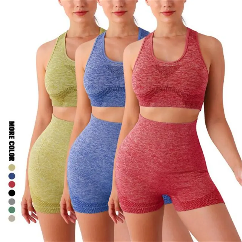 Tight Fitting Gym Sports Yoga Shorts Tank Top Sports T-shirt for Women Quick Dry Sport Wear Set for Women