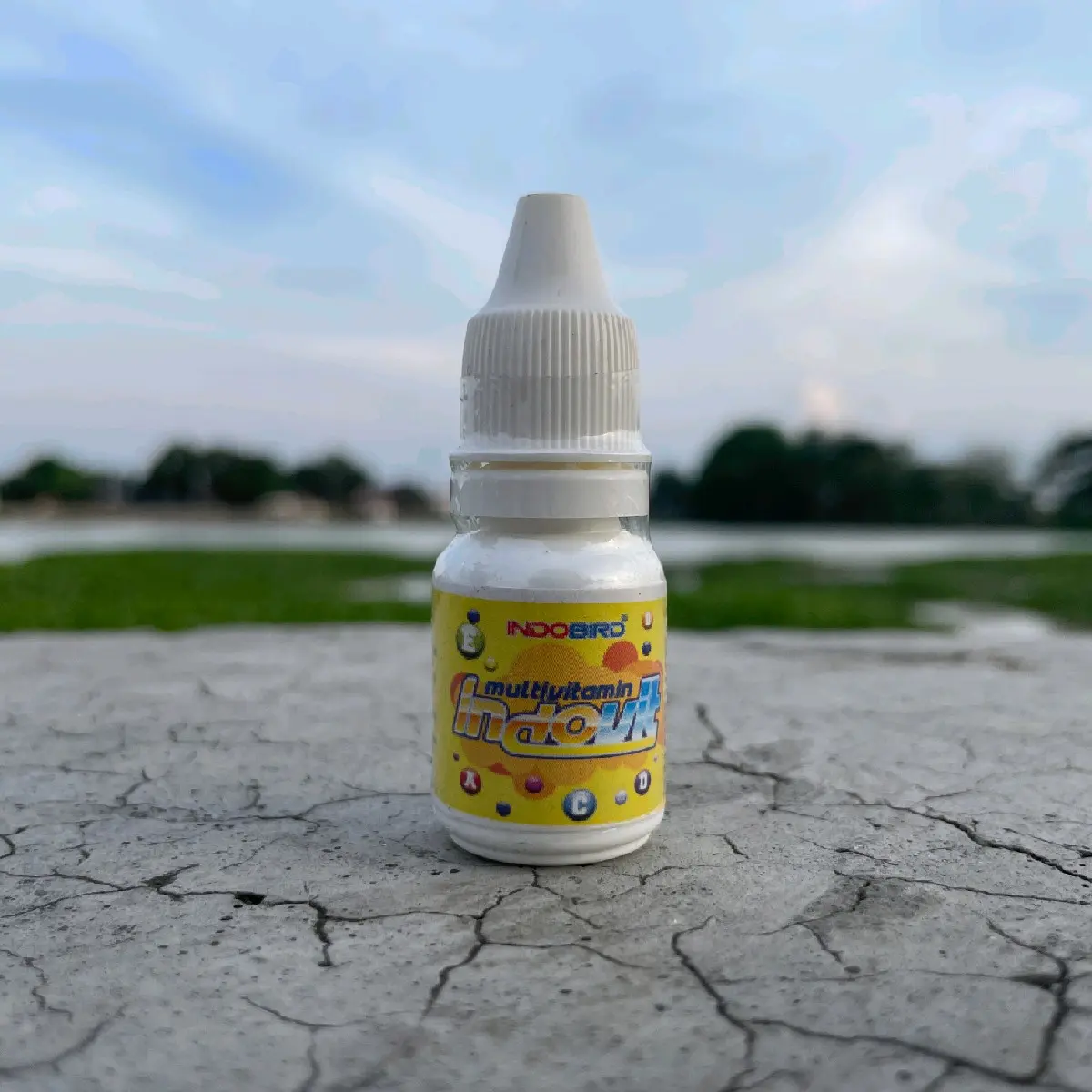 INDOVIT VITAMIN TERNAK MURAI BATU