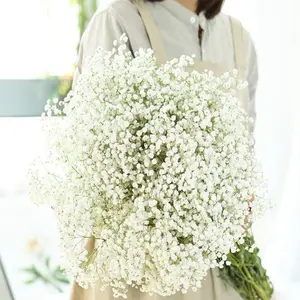 Baby Breath Bunga Plastik Artificial Palsu Dekorasi Bunga Florist Buket Bouquet Import  baby's breath bunga  kering  dikamar decor  bunga  gumbul bunga  meja  ruang  tamu  mewah