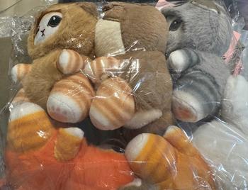 Product Review of Anime Mofusand 13Cm Plush Keychain Pendant Bag Pendant Cartoon Cute Little Raccoon Squirrel Panda Plush Gift Toy from J**J 0