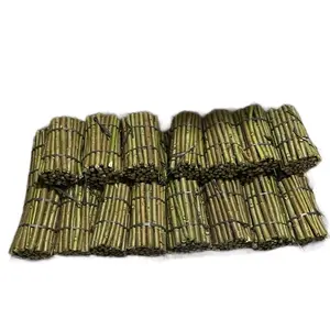 Bibit Stek Telo Papua 1 Ikat Isi 50 Batang Panjang 25 Cm Protein Tinggi Bebas Ubi Dan Racun Sangat Bergizi