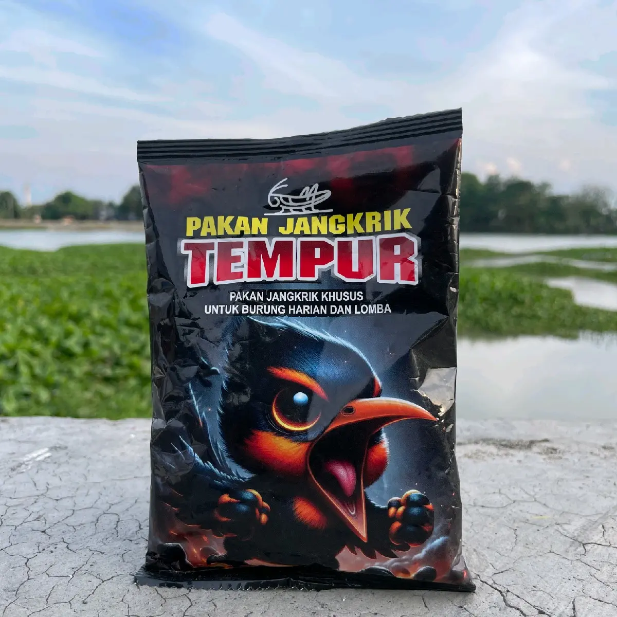 Pakan jangkrik tempur untuk burung