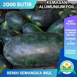 500 Benih Semangka Inul Merah Kualitas Tinggi Cocok untuk Penanaman dan Budidaya Benih Semangka Inul Merah