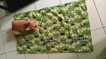 Product Review of Alas setrika anti lengket karakter daswol ukuran panjang 90cm lebar 50cm from m**h d**5 1