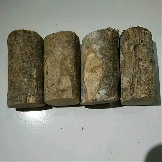 1000 gram kayu songga, kayu ular papua, kayu herbal, gelas songga, obat malaria, obat tradisional 3