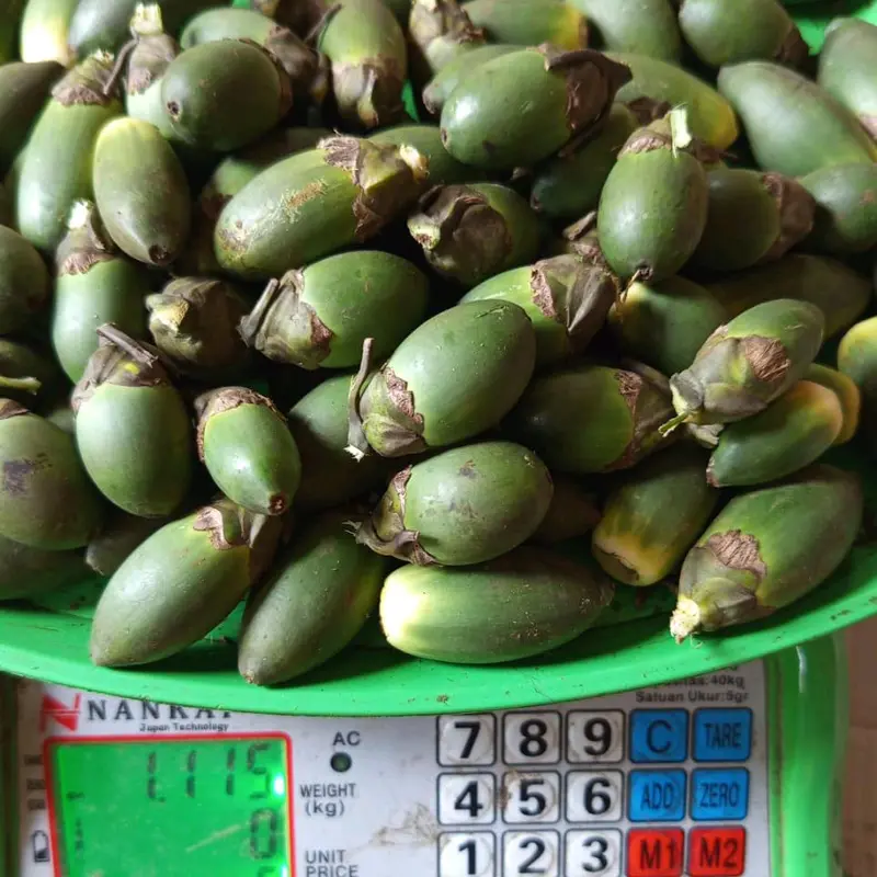 pinang muda  organik 1 kg, pinang dengan harga murah kualitas terbaik ,pinang muda untuk kesehatan tubuh ~Frozen Food 5
