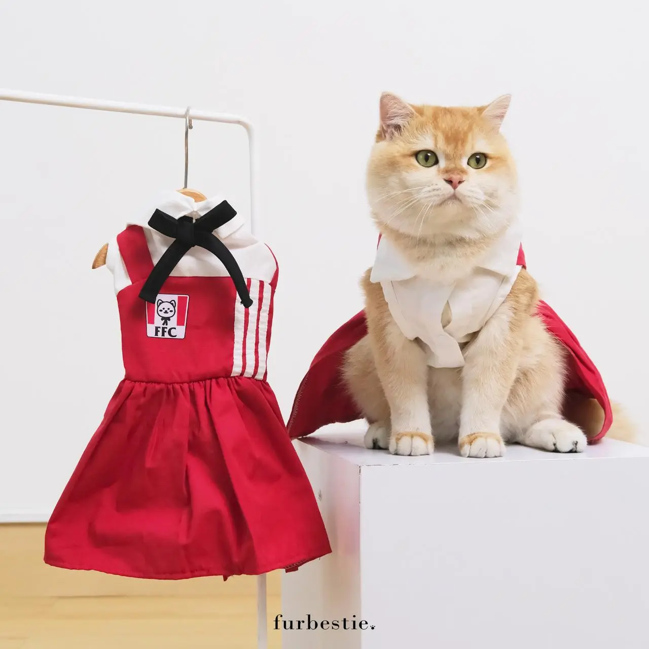 Furbestie by Pomapoo - Baju Kucing dan Baju Anjing  Fried Chicken Shirt & Dress