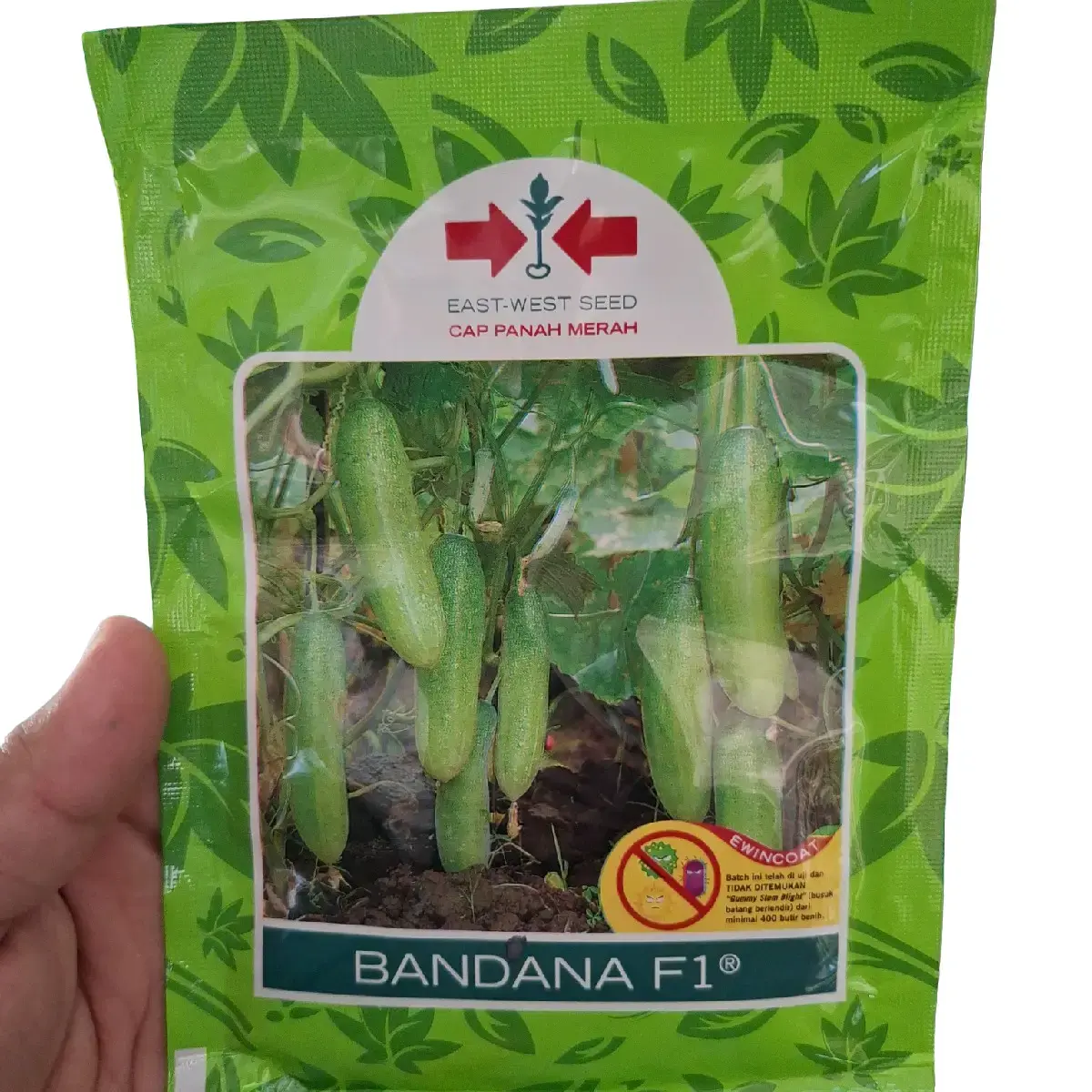 Benih Timun Bandana F1 800Butir