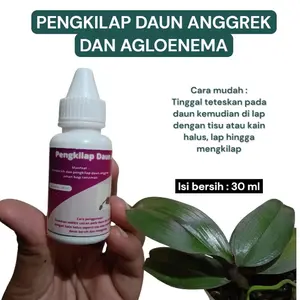 PENGKILAP DAUN ANGGREK DAN AGLOENEMA
