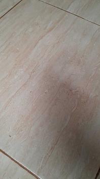 Product Review of Soilnut Pupuk Penggembur dan Nutrisi Tanah Media Tanam Berkualitas from s**a 0