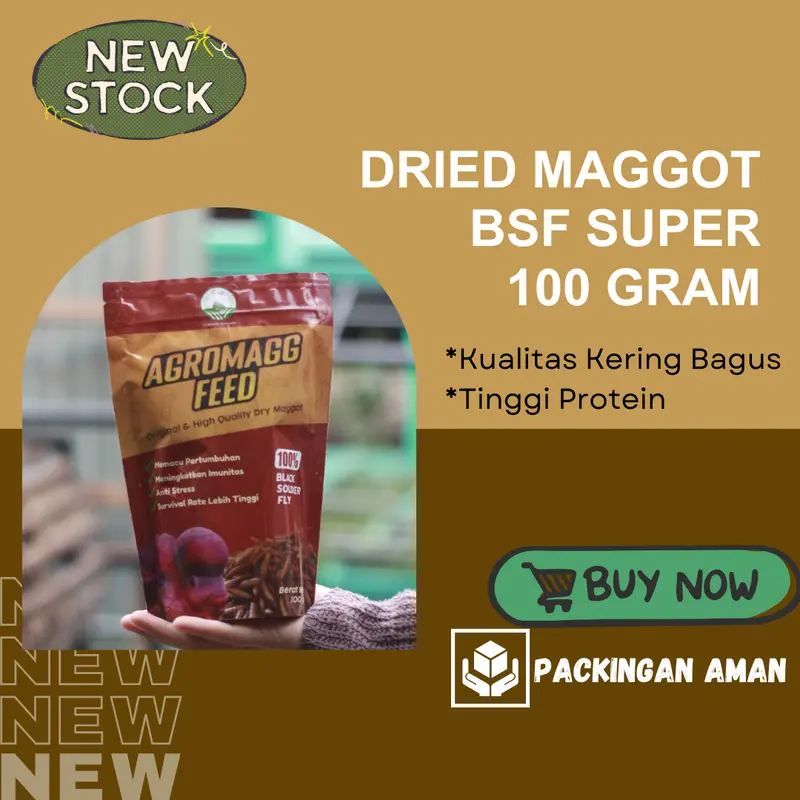 Maggot Kering / Dried Maggot BSF Super 100 Gram (Agromagg Feed) 1