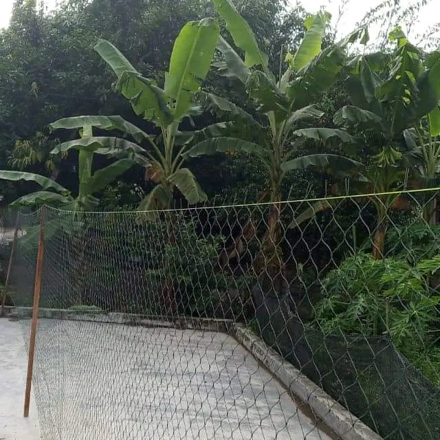 Jaring Pagar Ternak panjang 50 - 100 M ukuran lubang 3,5 - 4 Inci/Cm bonus tali tambang