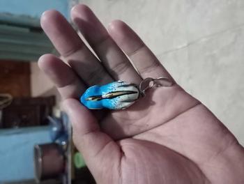 Product Review of softfrog tokek bintik rasa jaws 4 cm onecastlure from 🕸** R**R 0