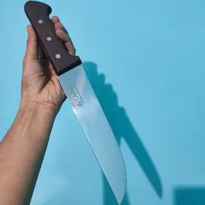Ratriyant Pisau Carne 7Cr17MoV bilah 20 25 30cm sama kaya Edge Pro Kitchenware Daging
