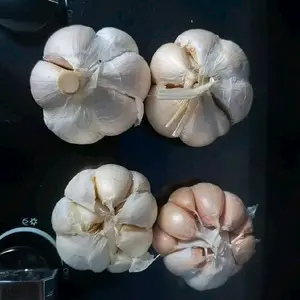 bawang putih honan bagus ya .500 gr