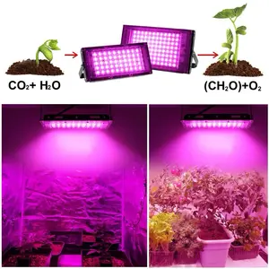 TaffLED Grow Light LED Hidroponik Full Spectrum 2835 SMD 220V 50W - RO22 - Black
