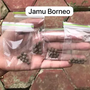 JAMU BORNEO BEMASUK UNTUK UKAKK  READY STOKK