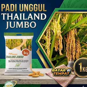 padi unggul terbaik Thailand jumbo aromatik 1kg