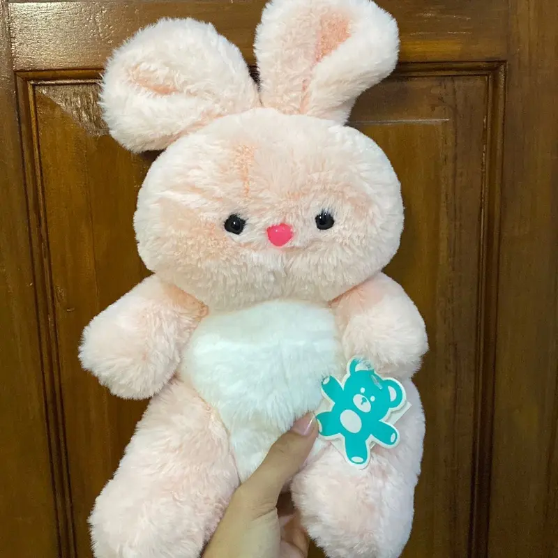 Bunny pink gembul fc