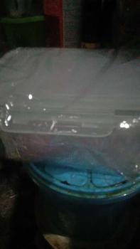 Product Review of 2 Set 6pcs Kotak Penyimpanan Multifungsi Wadah Toples Keranjang Saringan Pengering Sayur Buah Serbaguna from M**i 1