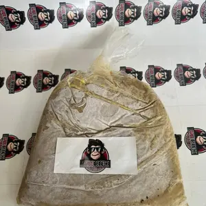 Umpan selai/usus ayam untuk galatama lele