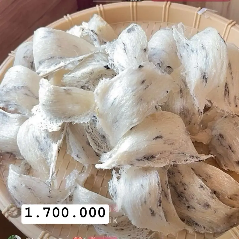 Yến sào Hòn Chông - yến thô sợi già form đẹp rất ít lông
