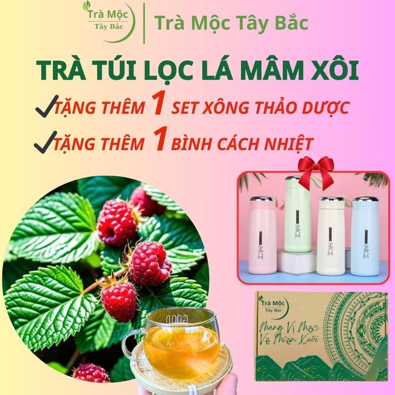   TẶNG BÌNH CÁCH NHIỆT + 1 SET XÔNG THẢO DƯỢC  Hộp 30 Túi Lọc Trà Mâm Xôi Đỏ Cỏ Ngọt Túi Lọc – Hỗ Trợ Ổn Định Cơ Thể Nữ Dễ Uống & Nhẹ Nhàng | Trà Mộc Tây Bắc 