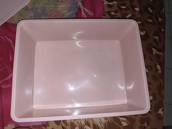 Product Review of Underwear Storage Box Kotak Penyimpanan Pakaian Dalam Kaos Kaki Dengan Tutup Tempat Penyimpanan Pakain Dalam Serbaguna Merah from a**i y**i 0