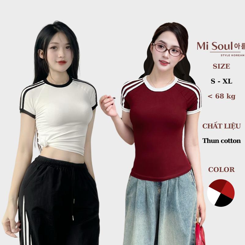Áo Thun Cotton Phối Viền Kẻ Cá Tính Cộc Tay Cổ Tròn BigSize Misoul, Form Ôm Basic , Áo Cộc Tay Thể Thao 413