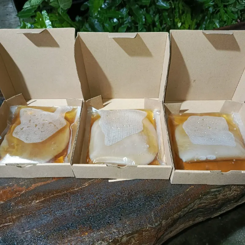 Scoby Kombucha Reseller isi 5 Scoby ukuran lebar +- 20×12×0.5cm, bisa memproduksi teh kombucha sebanyak +-20Liter dalam sekali proses, GARANSI 100% diganti baru jika proses pembuatan scoby gagal, berjamur atau tidak berkebang biak..BUKTIKAN !! 0