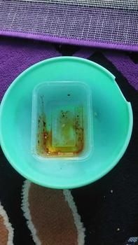 Product Review of Basreng mentah +Chili Oil isi 5biji kemasan vakum Food Frozen from N**a 0