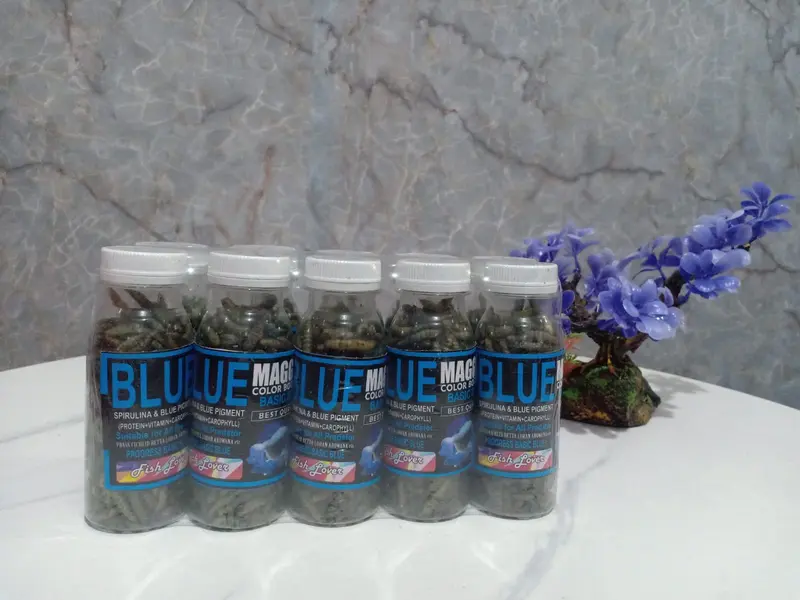 Pakan Ikan Maggot Color Bosster untuk Pertumbuhan Ikan yang Lebih Sehat 3