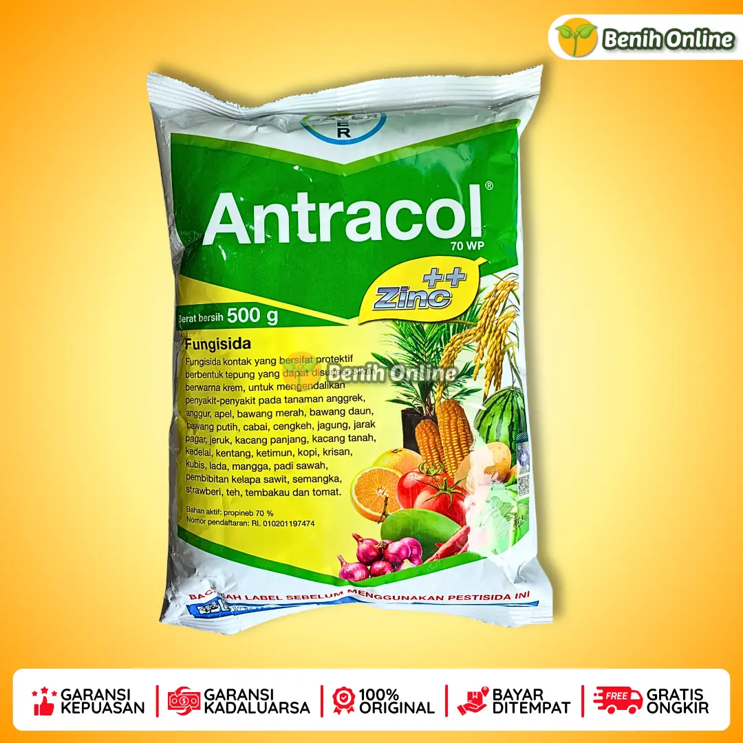 FUNGISIDA - ANTRACOL 70WP - 500 GRAM - BAYER probineb fungisida+zpt perozin