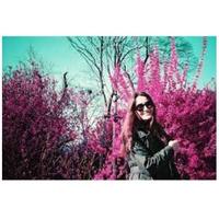 Gambar Lomography Roll Film 120mm LomoChrome Purple 120 ISO 100–400 dari Instaxshop Kota Bandung 5 Tokopedia