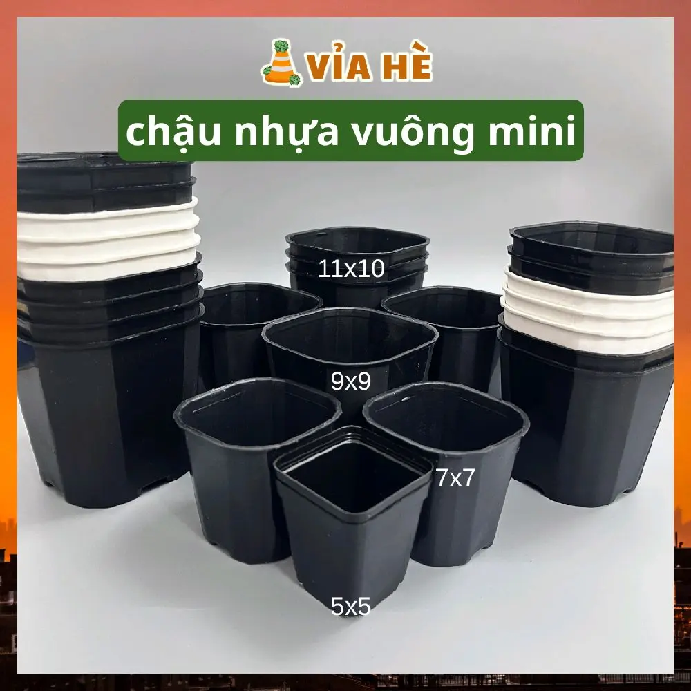 Chậu nhựa vuông cứng đen trắng mini trồng cây sen đá và xương rồng bonsai nhiều size, Vỉa Hè