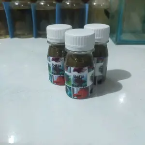 Makanan Ikan Hias Betta Berkualitas Tinggi untuk Kesehatan dan Kecantikan Ikan Anda