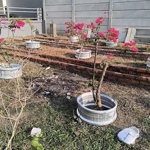Raisedbed Bundar Diameter 50 Tinggi 25 cm untuk Taman dan Pertanian