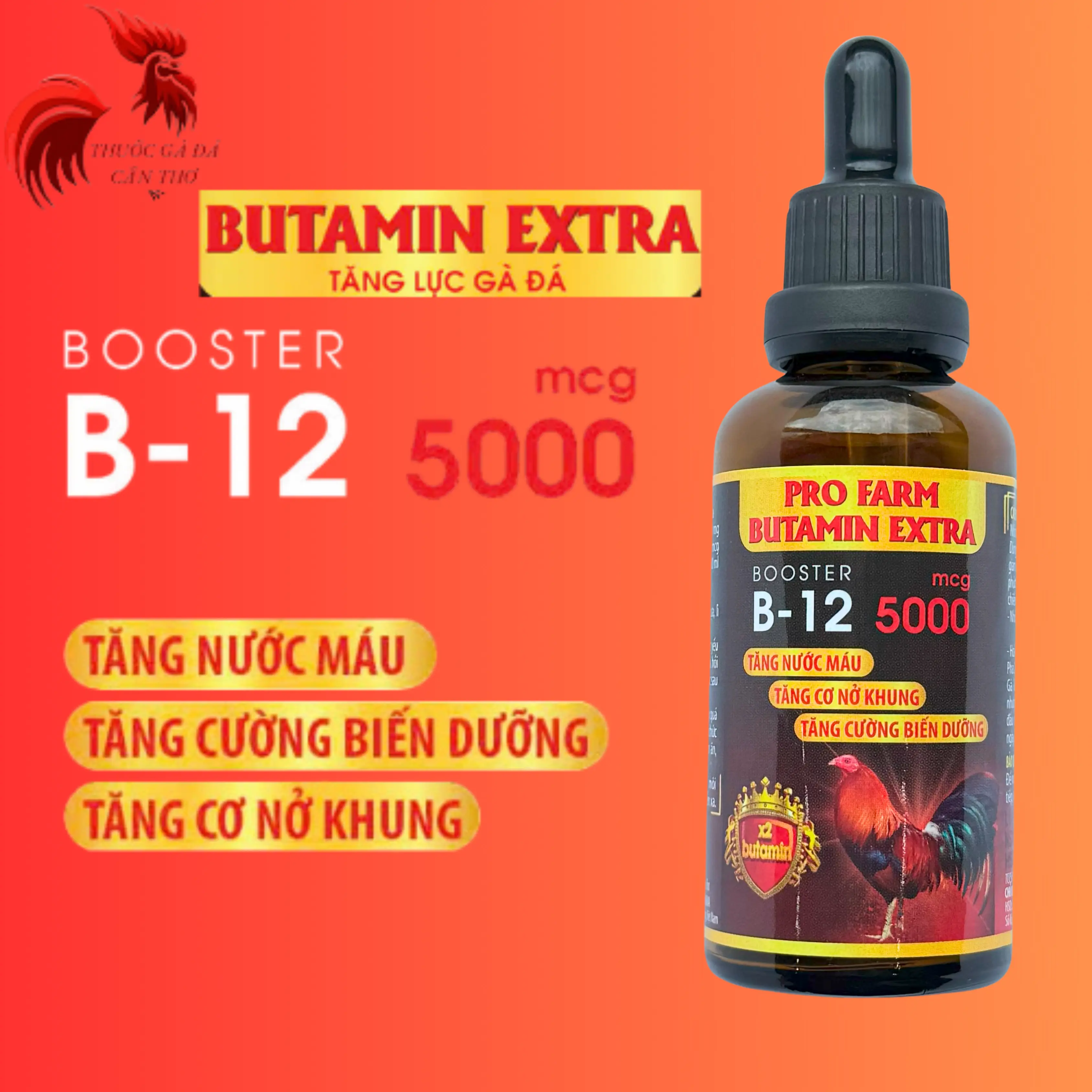 Butamin B12 5.000 nuôi gà chế độ tăng bo, nở khung tăng nước máu hừng gà (50ml)