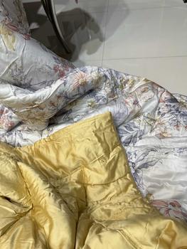 Product Review of [KOLEKSI 2025] Bedcover set (Sprei Set + Bed Cover) Bahan Kain Sutera Organic Lyocell Bamboo Tencel Anti Bacteria sudah termasuk 2 Sarung Bantal 2 Sarung Guling Semua Ukuran (160x200, 180x200, 200x200) from T**a A**h 0