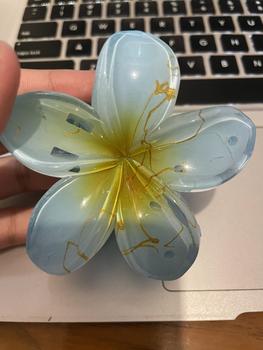 Product Review of Jepit Rambut Bali Jedai - Clips for Fashionable Hair from K**h 0