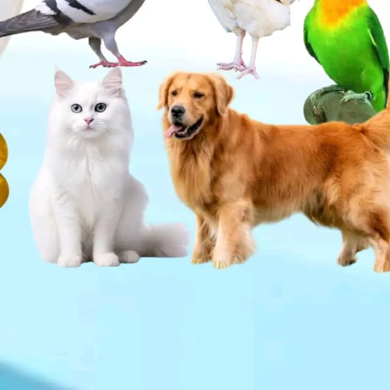 MINYAK IKAN  FISH LIVER OIL BURUNG DAN KUCING  KEMASAN 100 BUTIR Fish Oil untuk Kesehatan Kulit dan Bulu, Daya Tahan Tubuh, Kesehatan Jantung, Mengatasi Bulu Rontok 4