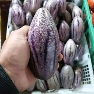 buah pepino 500gram - bisa dibikin jus/rujak