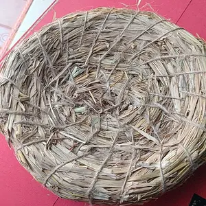 SERAT JERAMI DAMI SUSUH KENARI AYAM PERKUTUT DERKUKU MERPATI DARA KATE SARANG TEMPAT TELUR BURUNG INDUKAN TERNAK