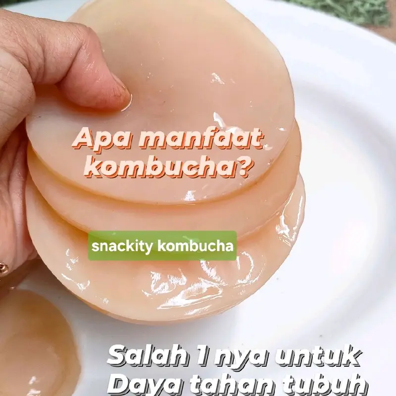 Scoby fermentasi kombucha diameter 8 cm, tebal 0,5 cm, lengkap dgn starter 200 ml 0